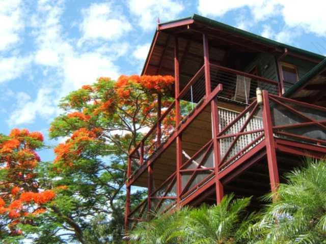 Bed and Breakfast Maleny Tropical Retreat Экстерьер фото