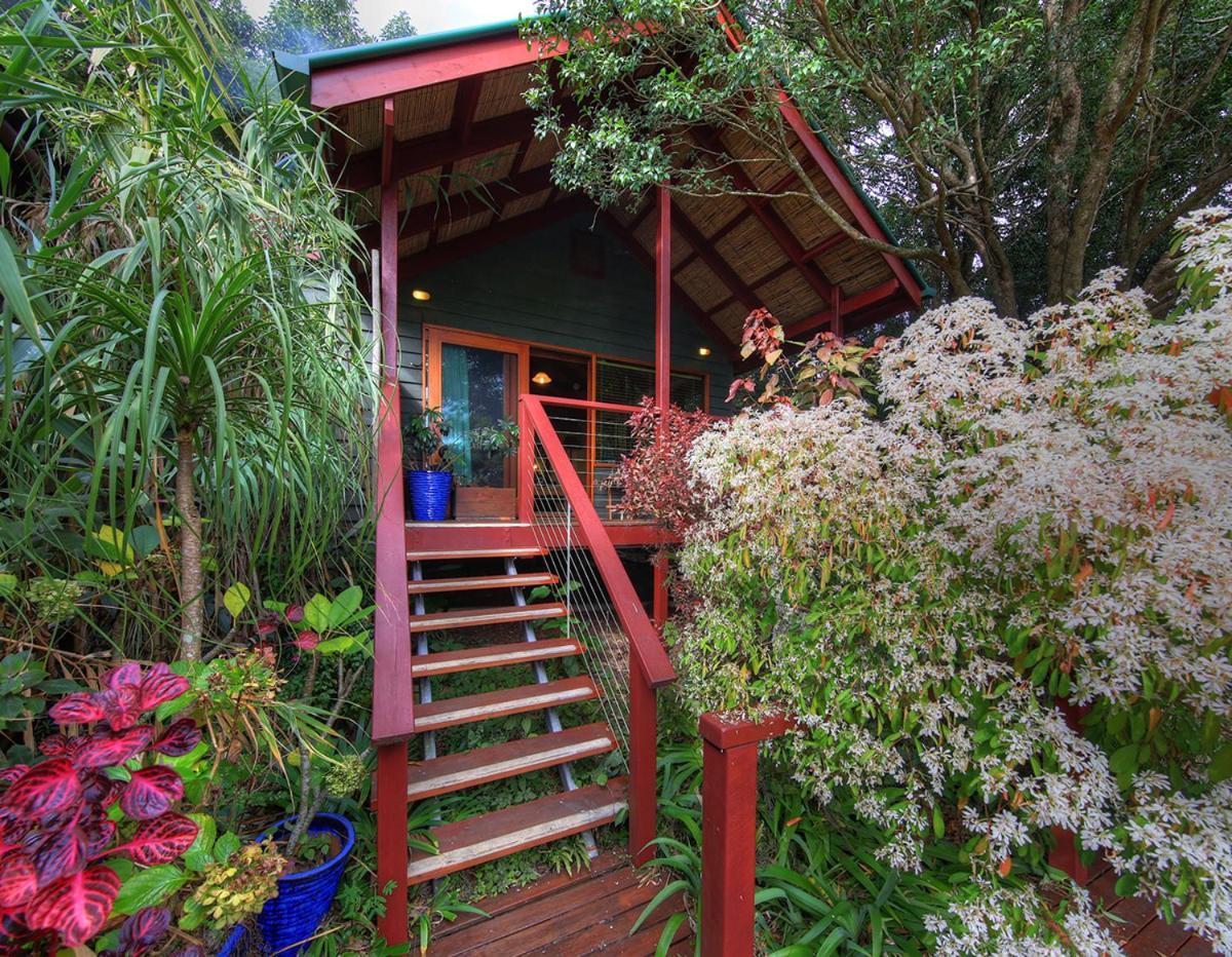 Bed and Breakfast Maleny Tropical Retreat Экстерьер фото