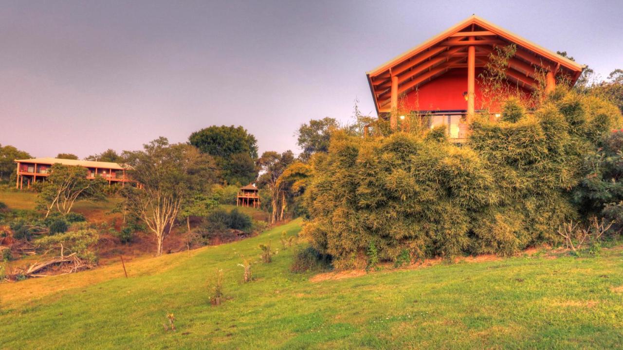 Bed and Breakfast Maleny Tropical Retreat Экстерьер фото